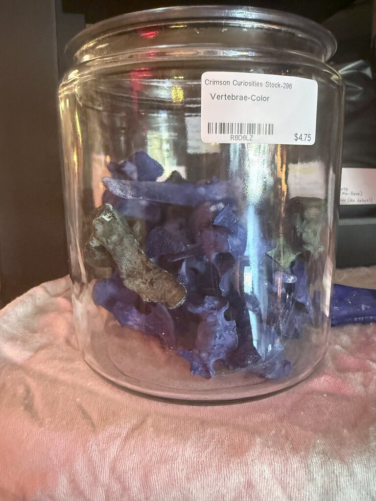 Dyed Vertebrae