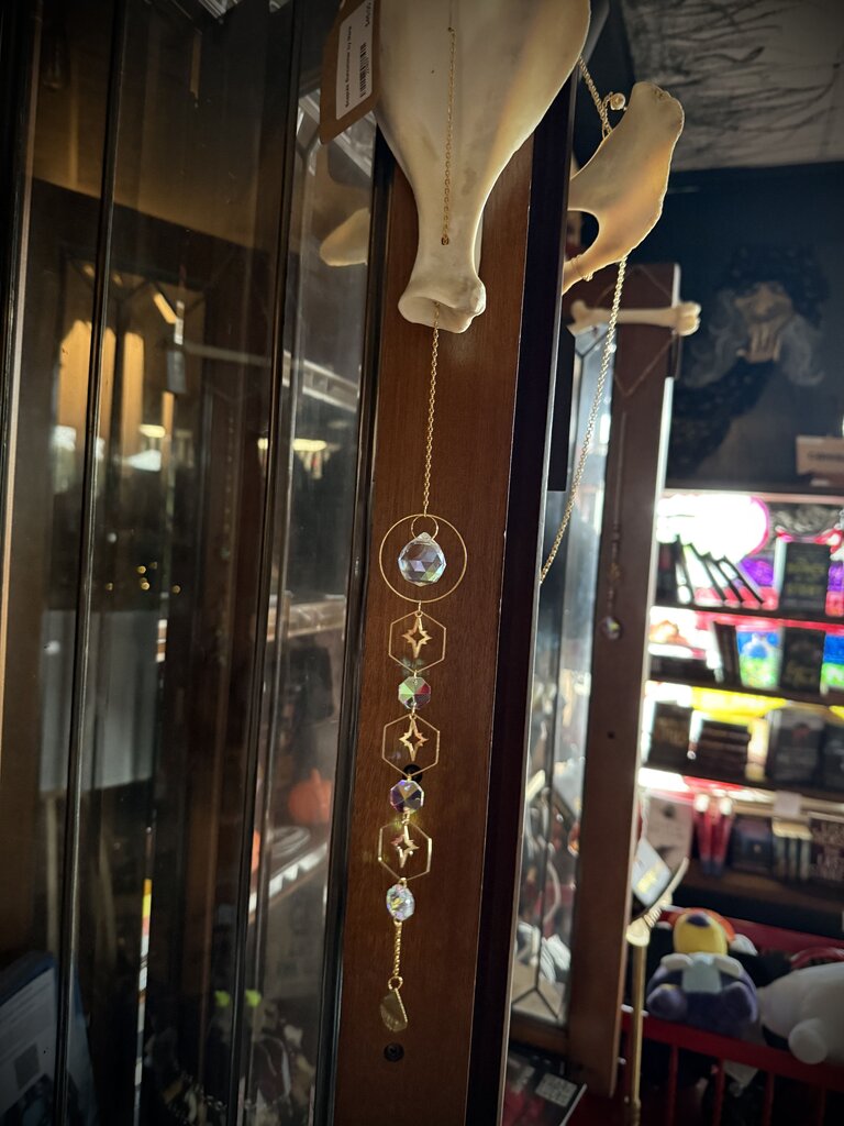 Scapula Suncatcher by Marie
